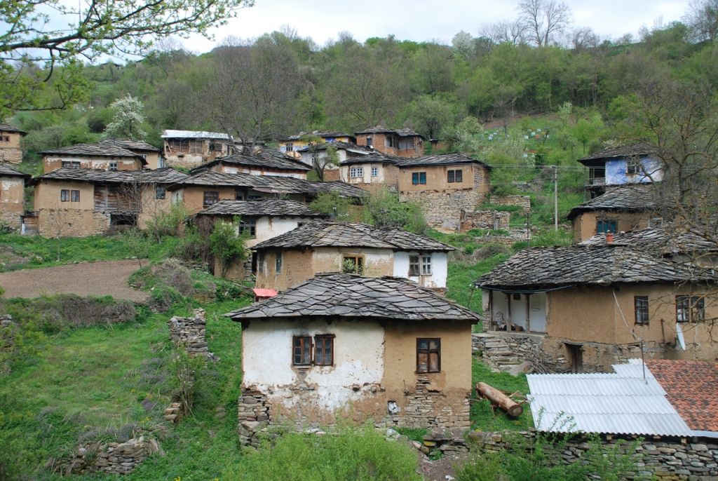 ????????????????????????????????????