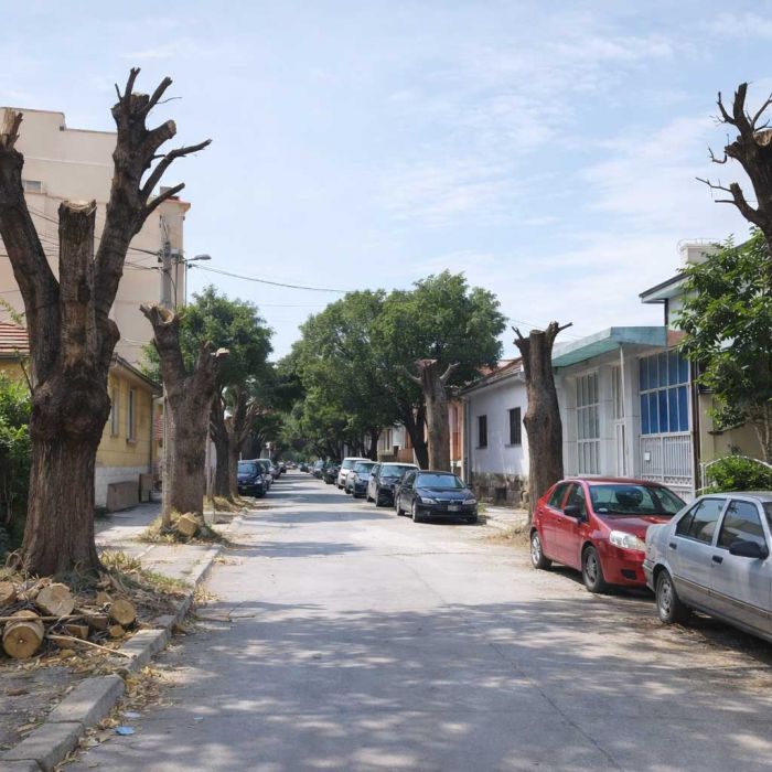 Nemanjina ulica, nekada jedna od najzelenijih ulica u Nišu